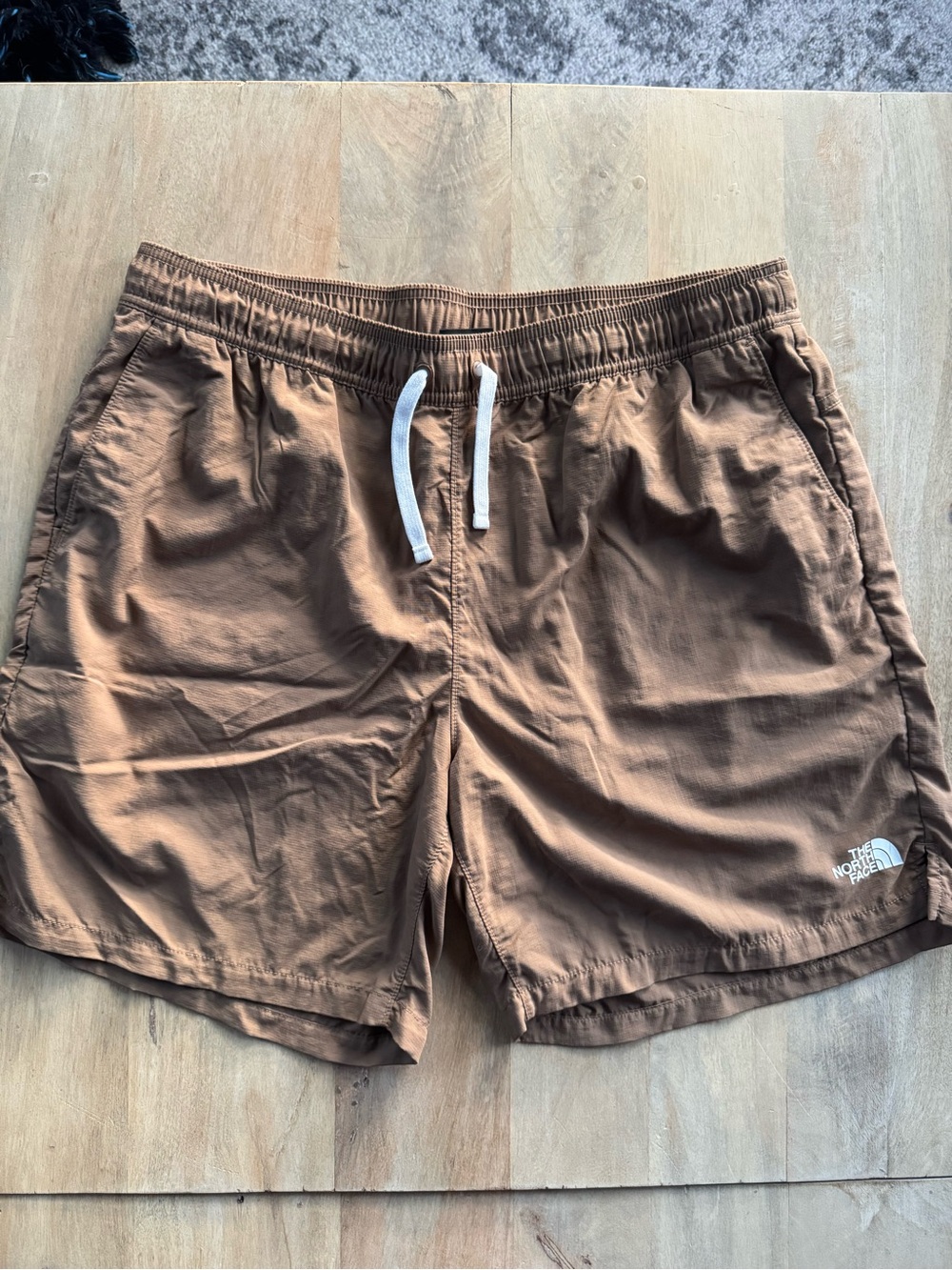 Men's The North Face Action Shorts 2.0